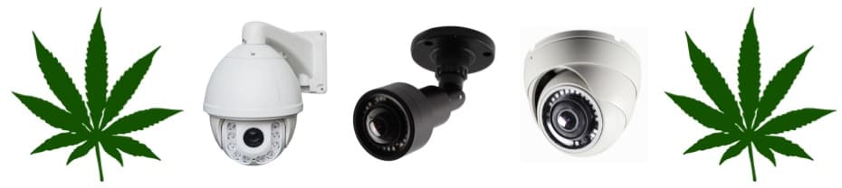 Cannabis Dispensary Security Camera Surveillance Systems